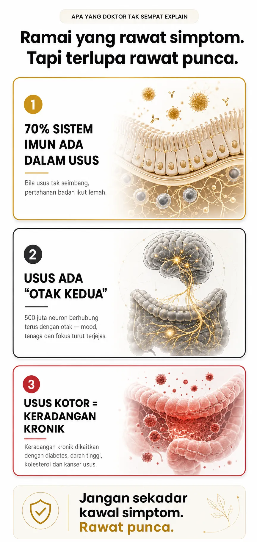 Tiga Lapisan Sokongan Triobiotic Cell+